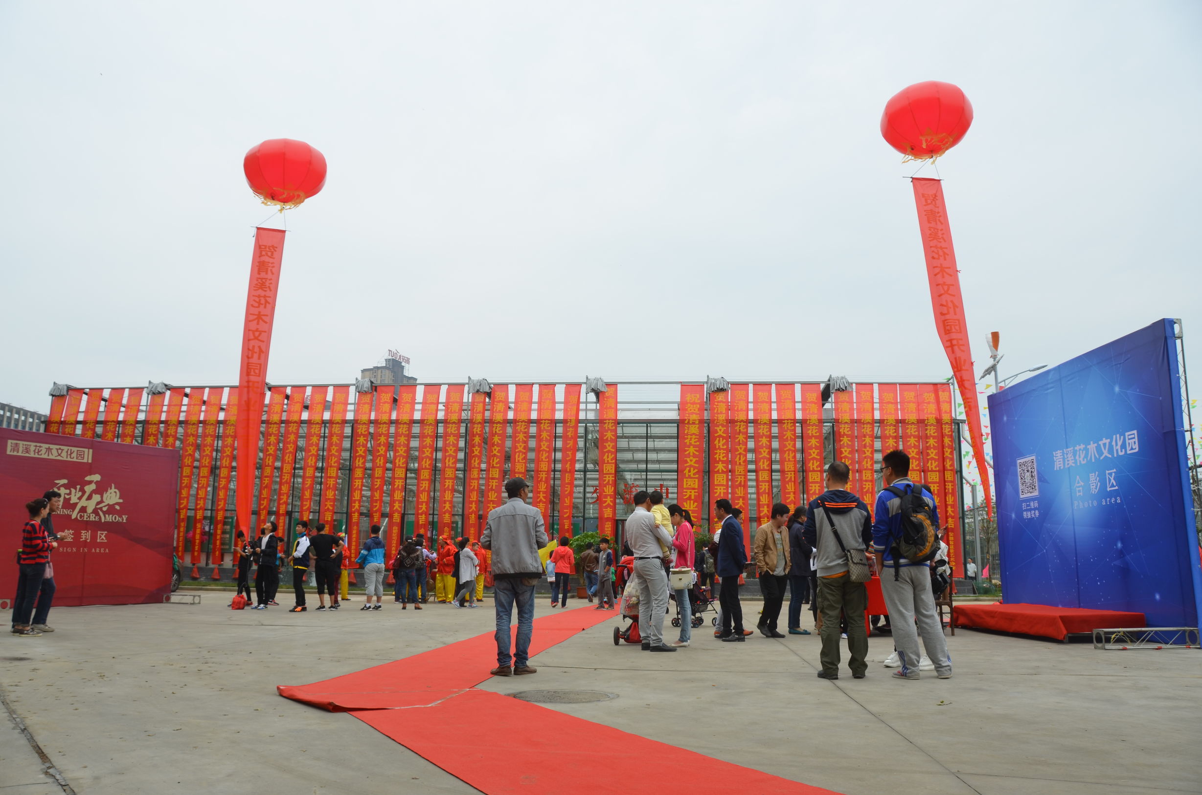 踏青赏花好去处合肥,合肥市内春游赏花公园