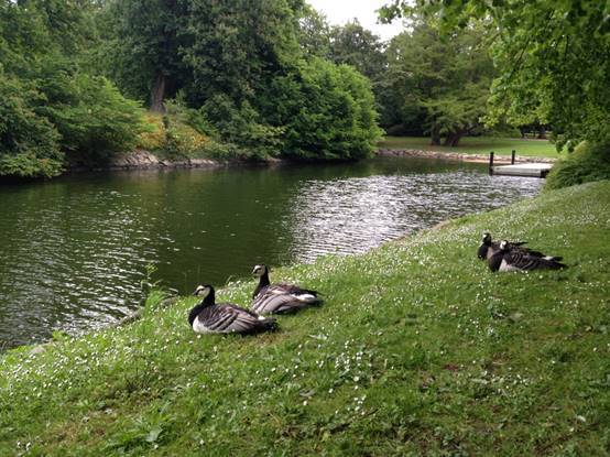施华洛世奇白天鹅10年,马尔默全集完全版