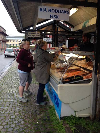 施华洛世奇白天鹅10年,马尔默全集完全版