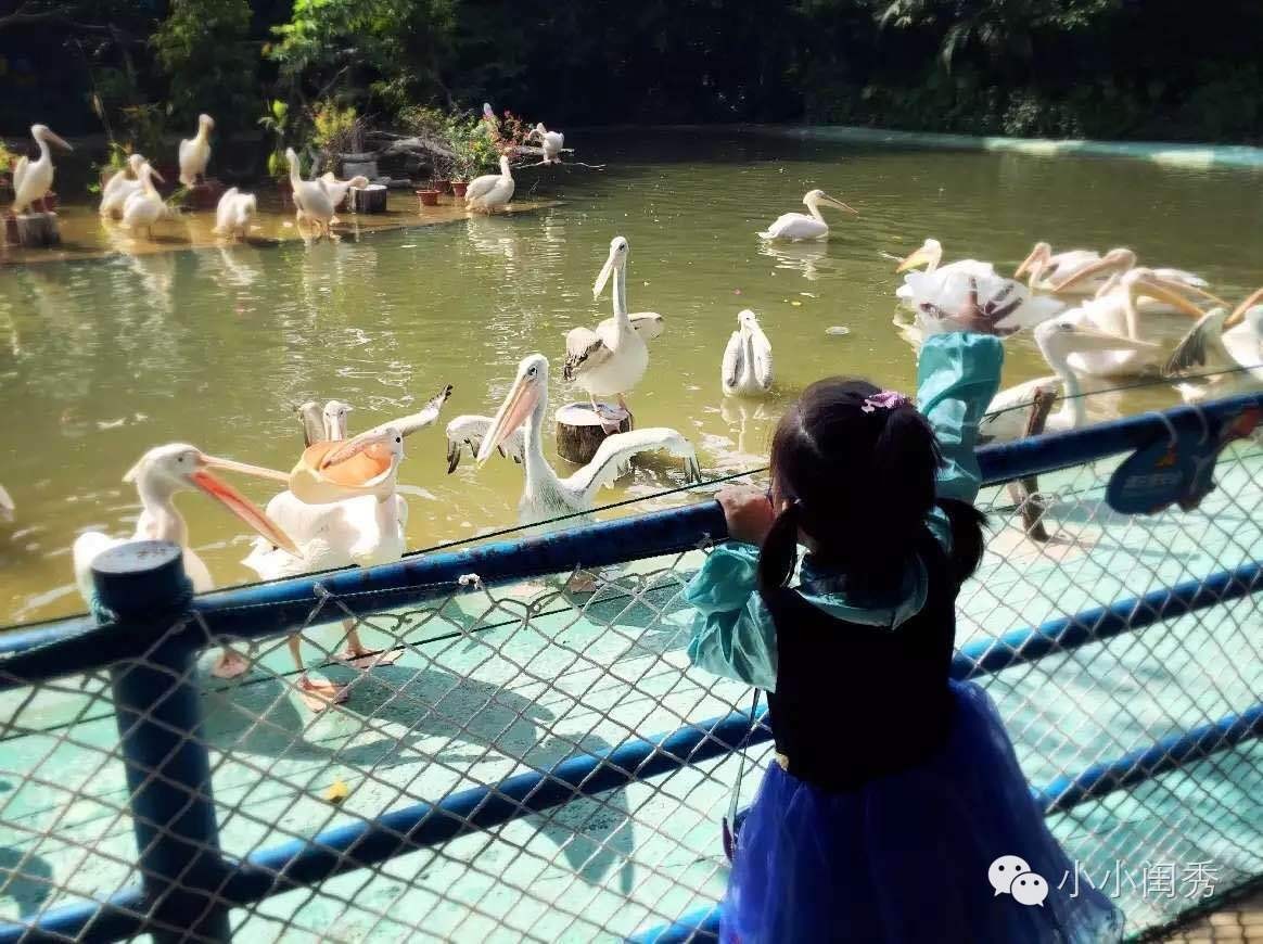 带孩子广州长隆旅游攻略,长隆动物乐园多长时间能够逛完