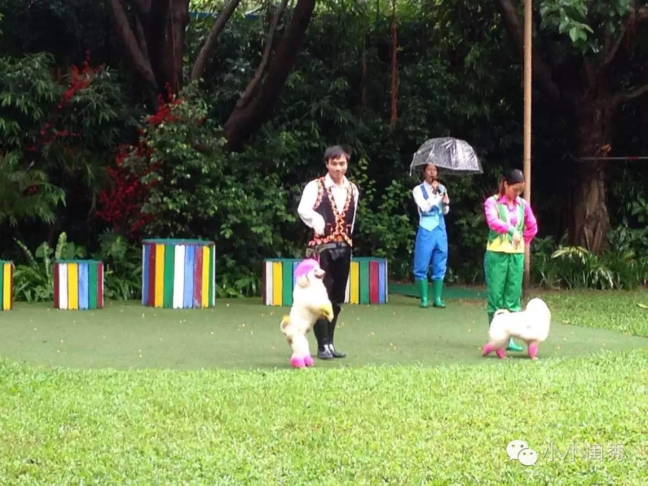 带孩子广州长隆旅游攻略,长隆动物乐园多长时间能够逛完