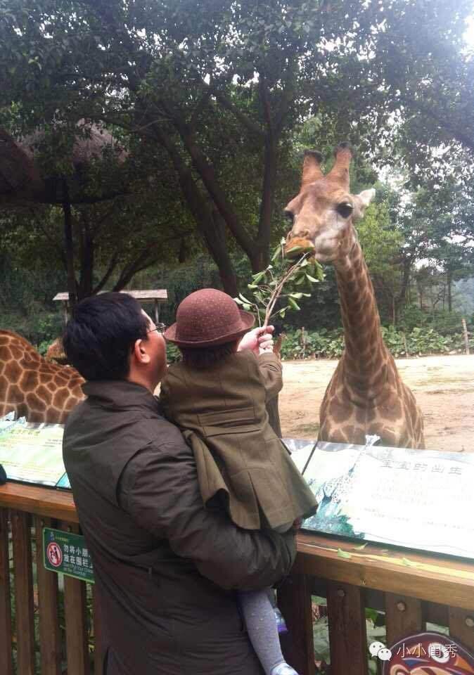 带孩子广州长隆旅游攻略,长隆动物乐园多长时间能够逛完