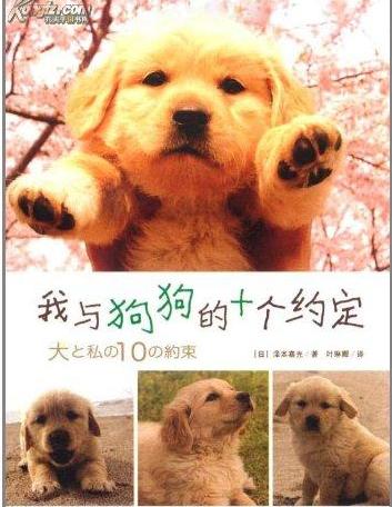 导盲犬小q动漫片影评,导盲犬小q电影总结