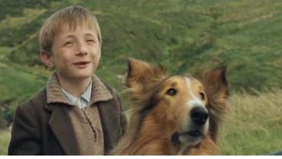 导盲犬小q动漫片影评,导盲犬小q电影总结