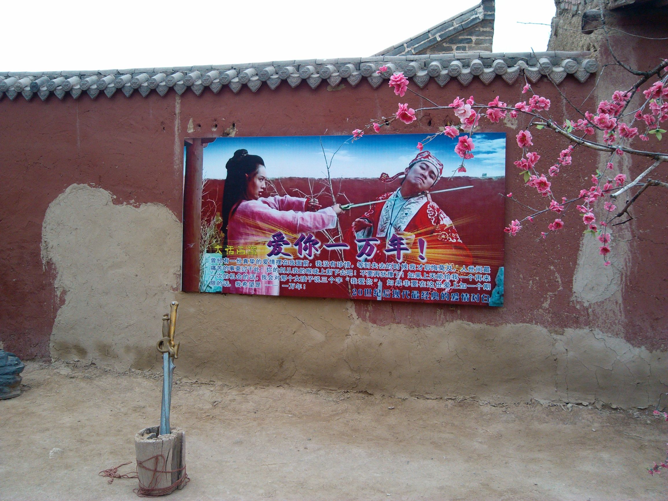 狂撒狗粮虐单身狗,银川精品一日游