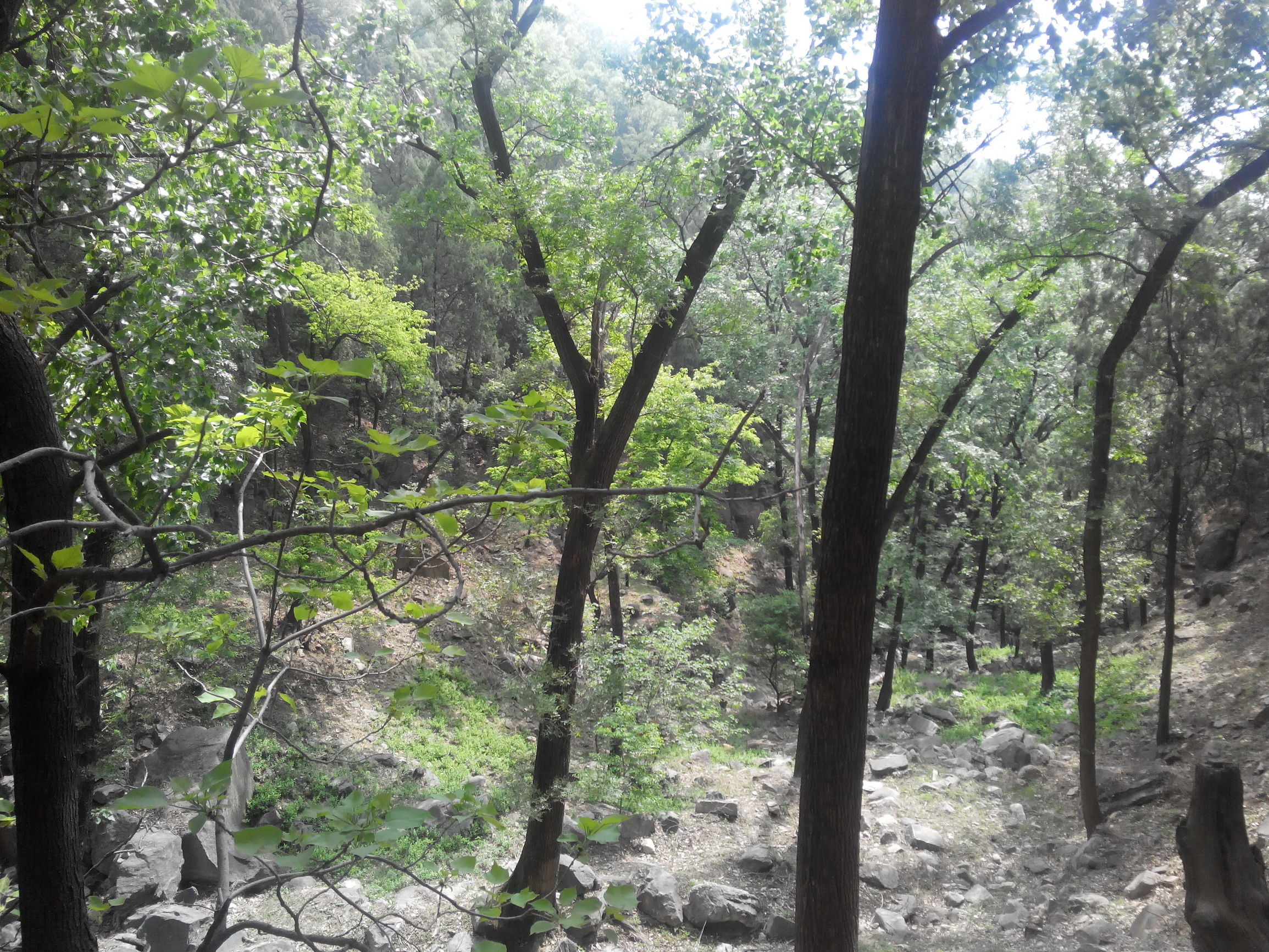 天津去泰山自由行攻略,天津泰山旅游攻略自助游