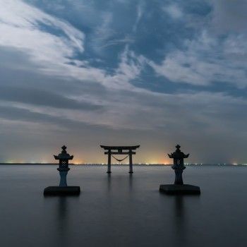 熊本熊长大后的样子,四只熊本熊图片