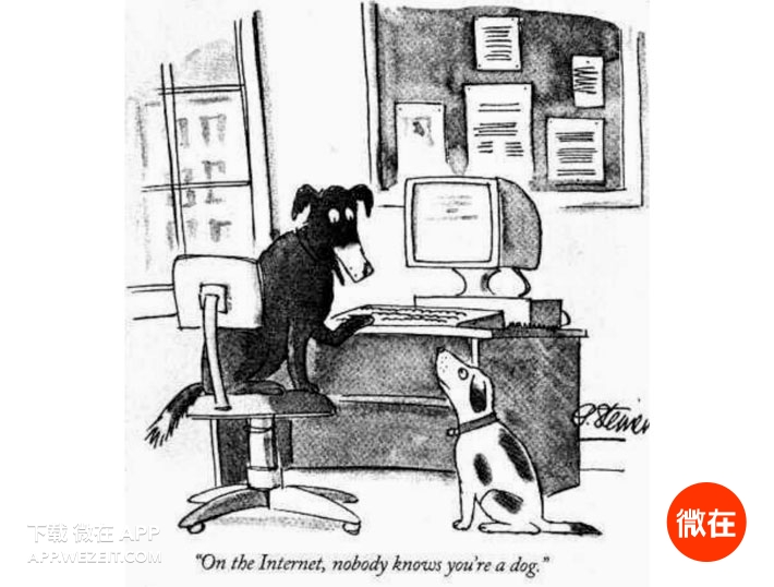 10个少数人才知道的冷知识,11个会上网的人必须知道的冷知识