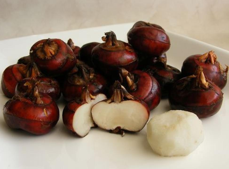 怀孕能吃肉炖莲藕吗,孕妇能够吃茄子莲藕吗