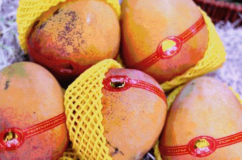 合肥惊现光速水果外卖，最晚到凌晨12点，这么任性的只有它了！