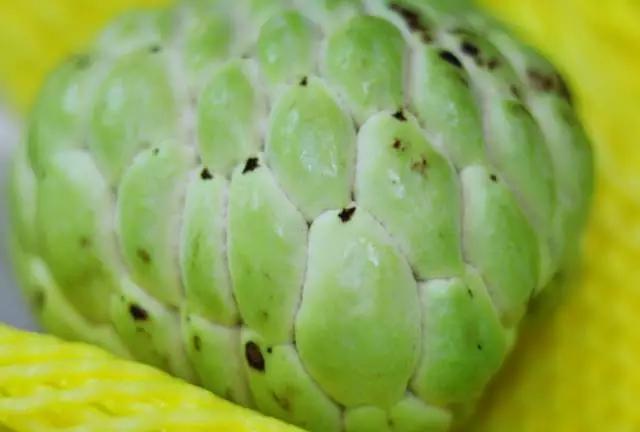 合肥惊现光速水果外卖，最晚到凌晨12点，这么任性的只有它了！