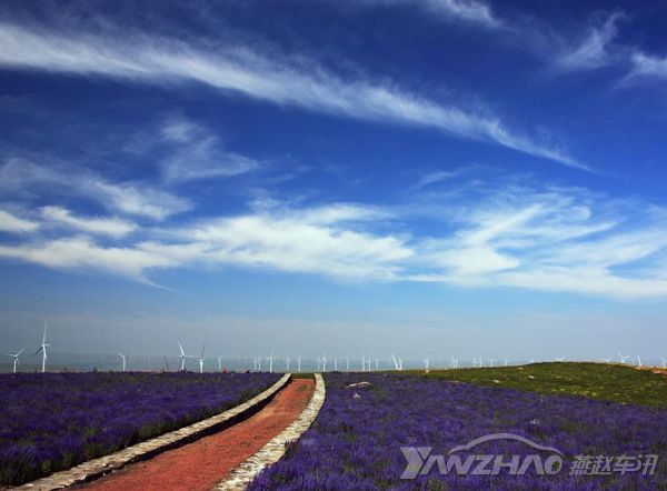 廊坊到张北草原天路自驾游多少钱,廊坊去张北草原天路自驾游攻略
