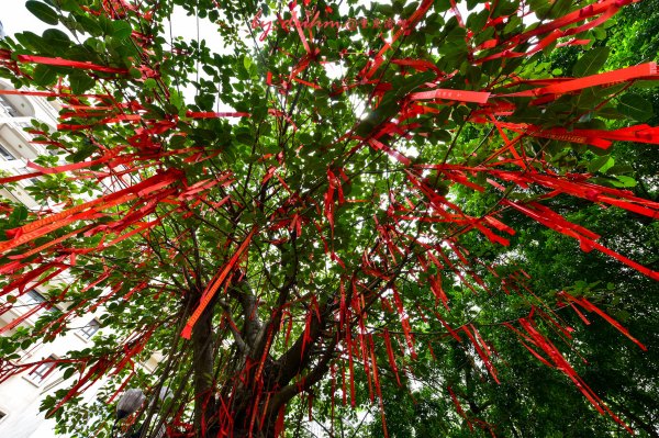 去广东增城玩有哪些攻略,广州周末好去处增城