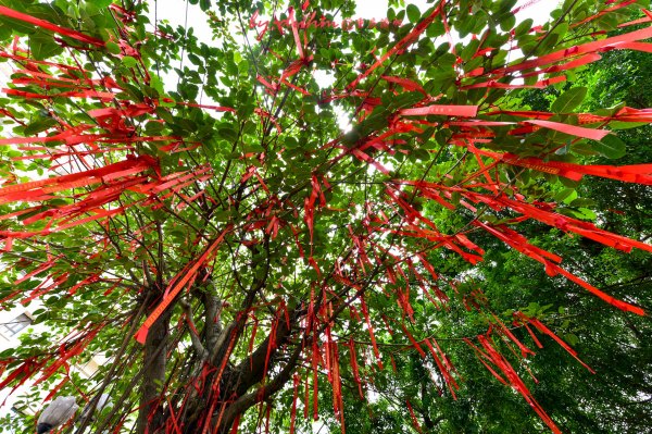 去广东增城玩有哪些攻略,广州周末好去处增城