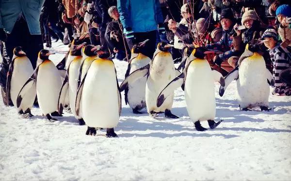 喜欢旅行是出于什么心理,喜欢去英国留学的原因