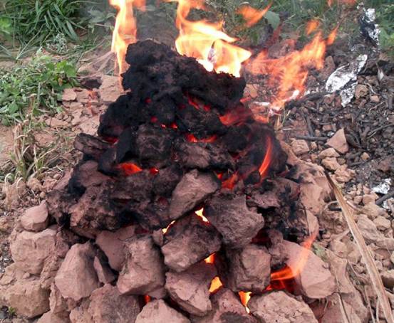 南宁十大最美农家乐推荐,南宁农家乐排行榜合适小朋友