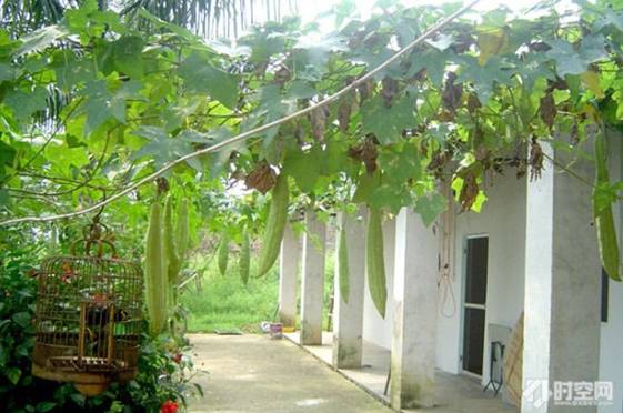 南宁十大最美农家乐推荐,南宁农家乐排行榜合适小朋友