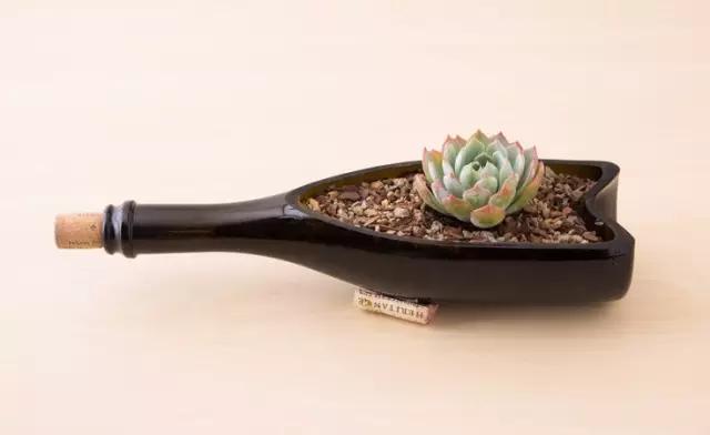 红酒瓶与多肉,玻璃瓶与多肉的邂逅