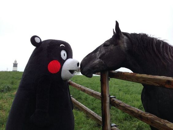 熊本熊长大后的样子,四只熊本熊图片