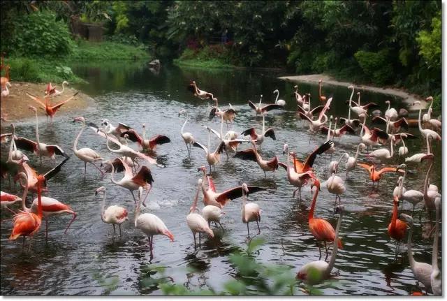 长隆合适小朋友玩的地方,长隆有哪些小朋友能够玩的项目