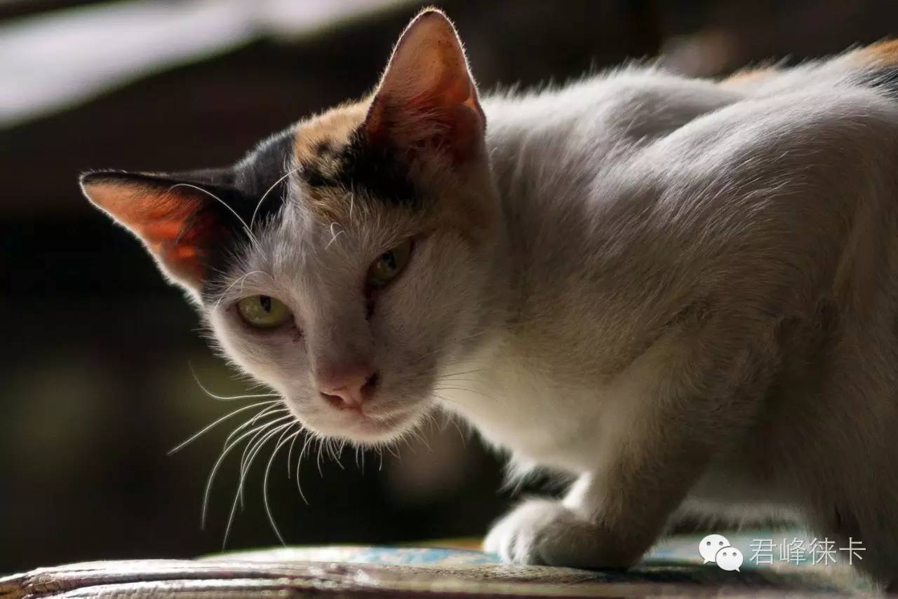 寰曞崱m501.4a,寰曞崱m502aa