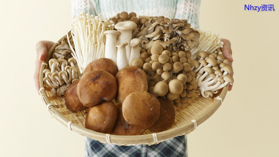 合适一岁以上的维生素,维生素能够恢复代谢吗