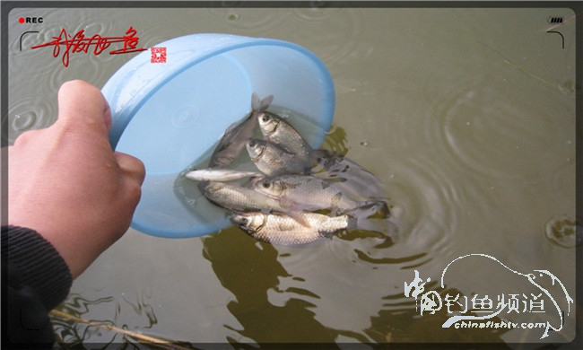 风雨无阻之我爱飞鱼去‘*欢寻**’！