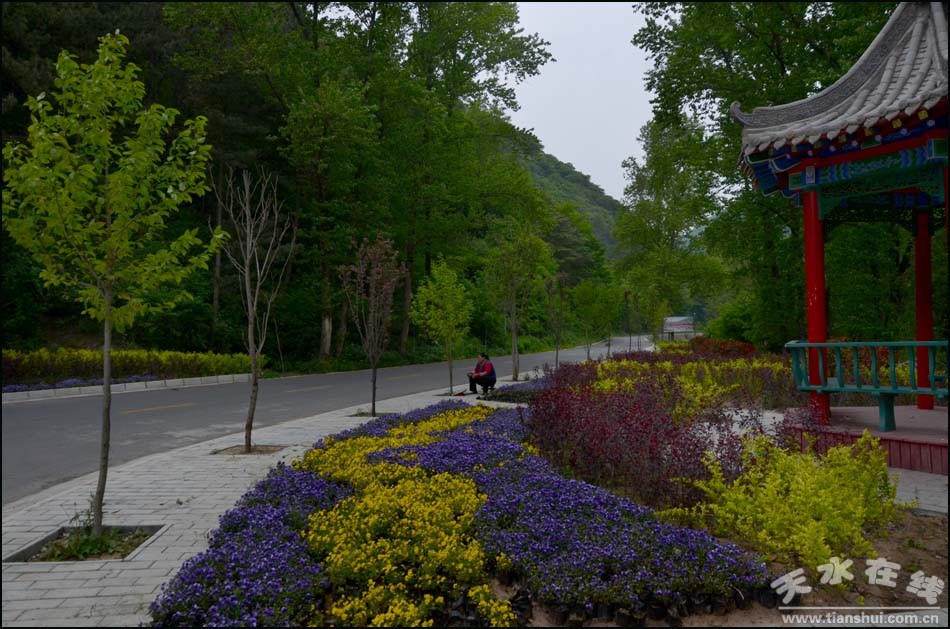 天水市国家级美丽乡村建设,天水市最美乡村名录图片