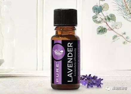 这四款精油是“女性的小护士”，帮你解决各种身体问题！