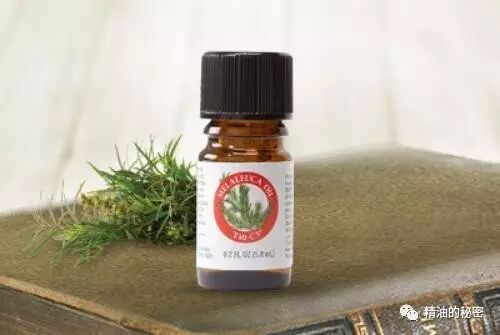 这四款精油是“女性的小护士”，帮你解决各种身体问题！