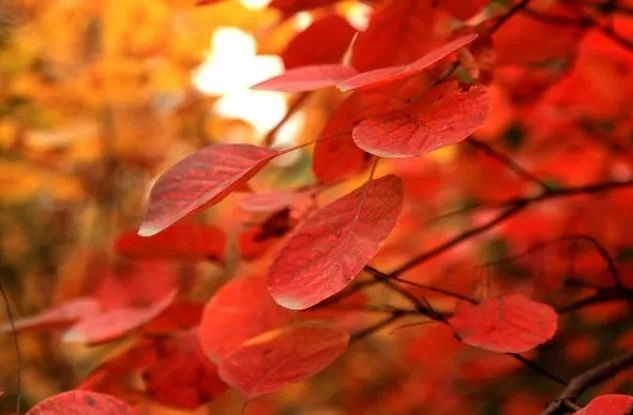 北京游玩一年不重样,一天游北京攻略大全