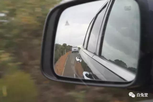 「白兔堂」可能只有不到10%的游客在澳洲玩到了这些！你玩对了吗？