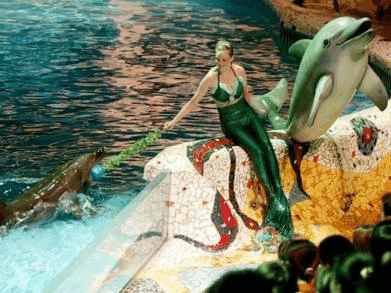 大连海边风光,想体验不一样的日出吗