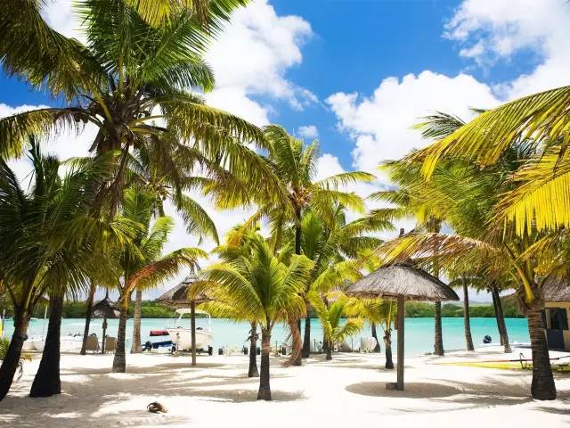 伊甸园免签景点在哪个城市,伊甸园免签的景点在哪里