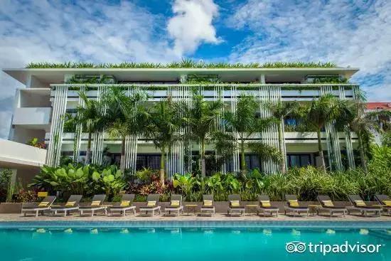 猫头鹰酒店排名,猫头鹰十大排名