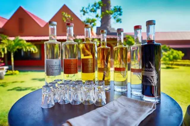 伊甸园免签景点在哪个城市,伊甸园免签的景点在哪里