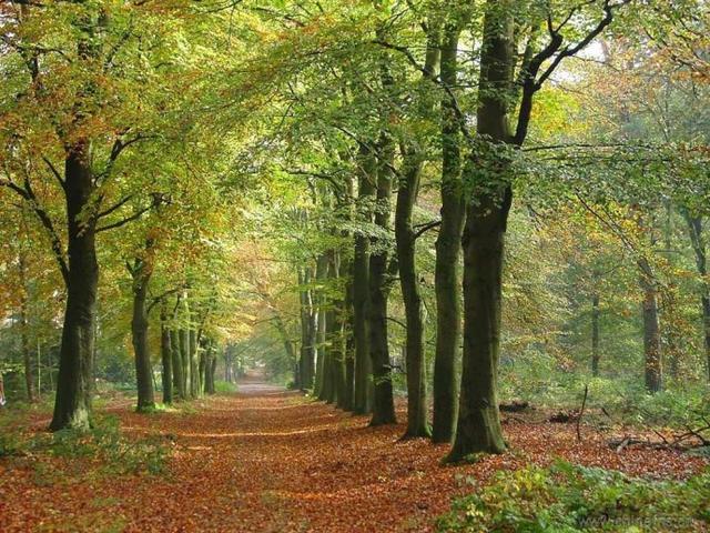 合适书法创作的五言诗句,最合适书法创作的36首诗词