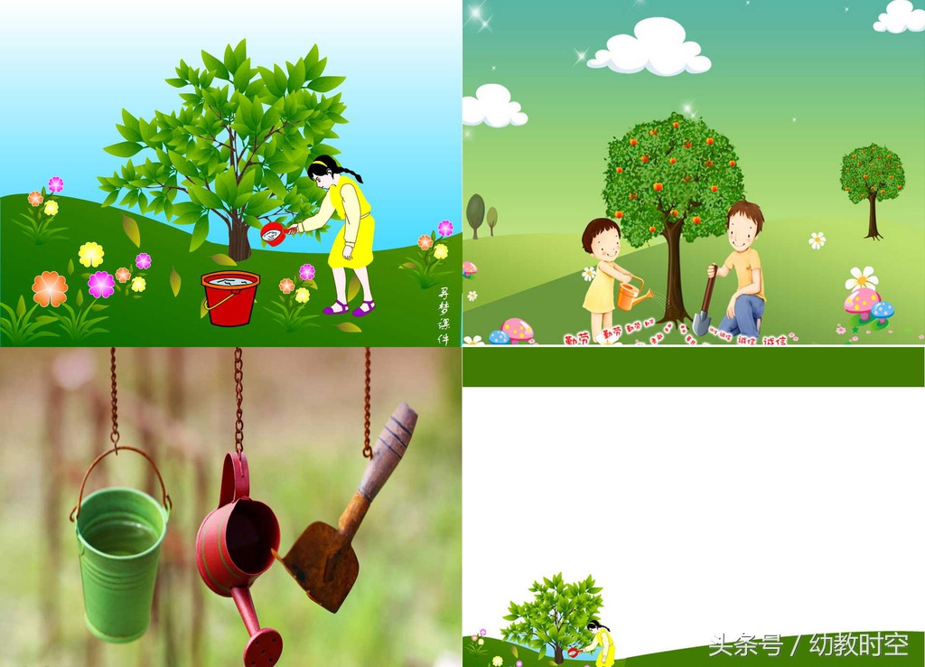 幼儿园园长植树节活动方案,幼儿园植树活动策划案