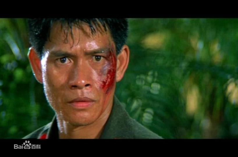 香港邵氏100部武打电影男反派,邵氏电影反派角色扮演