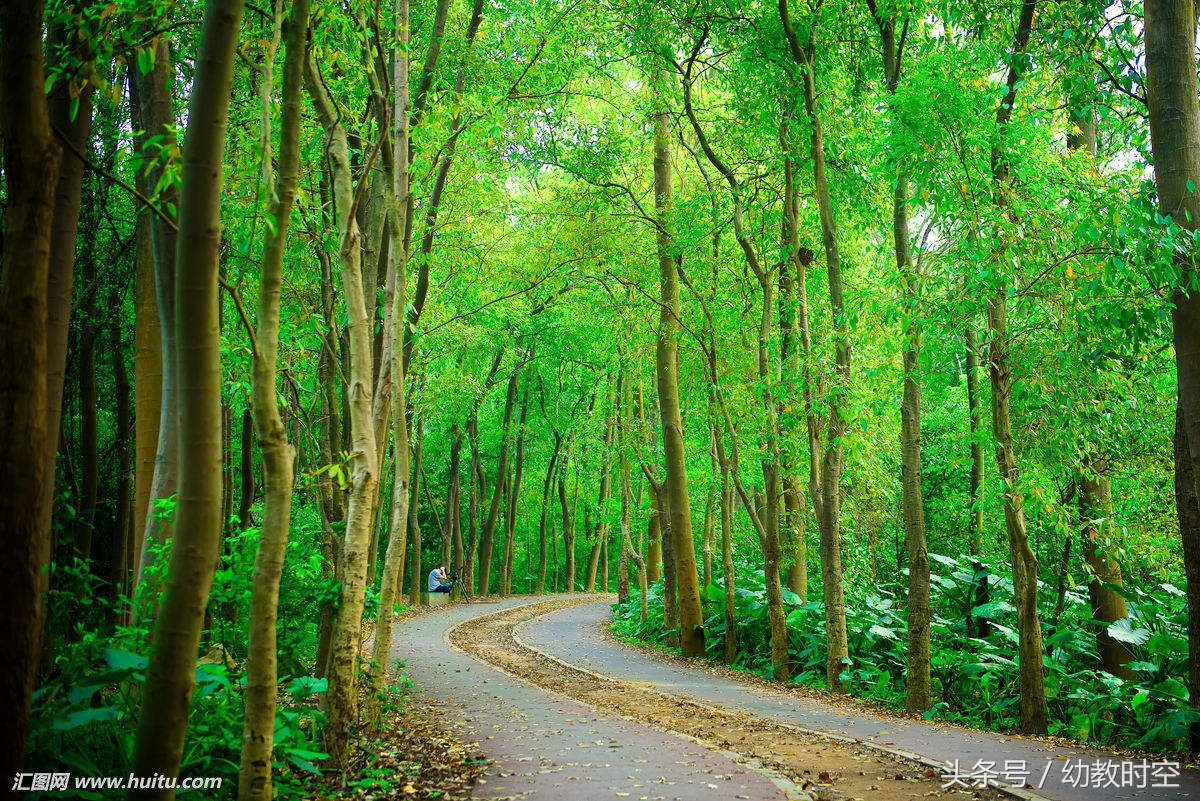 幼儿园园长植树节活动方案,幼儿园植树活动策划案