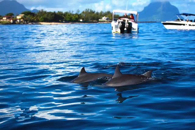 伊甸园免签景点在哪个城市,伊甸园免签的景点在哪里