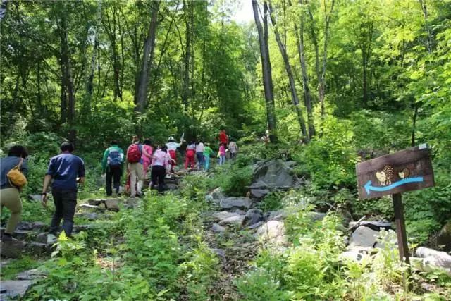 400个小朋友参加夏令营至少多少人,滑雪冬令营正在招募