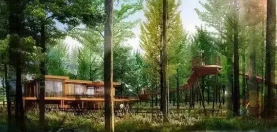 上海残疾人免费景点一览表,上海景区免费景点