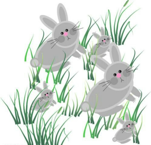 动物寓言故事视频完全版,动物寓言故事