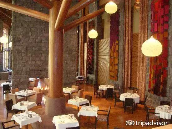 猫头鹰酒店排名,猫头鹰十大排名