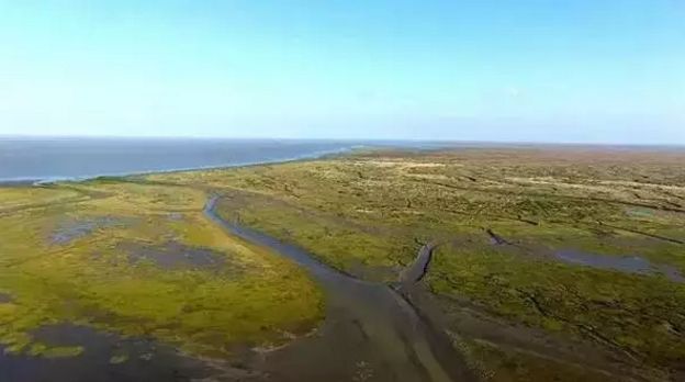 上海残疾人免费景点一览表,上海景区免费景点