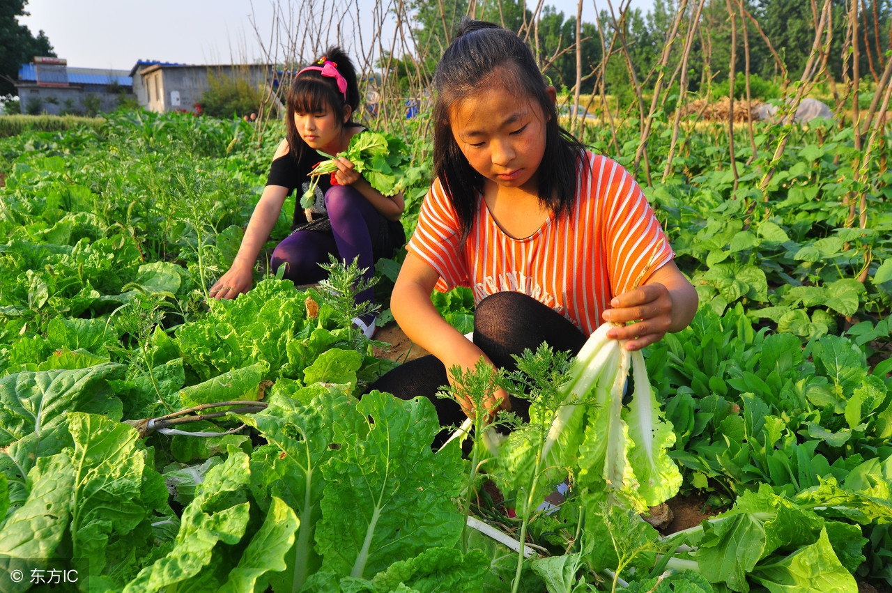 休闲农庄7种模式,怎样定位自己农场