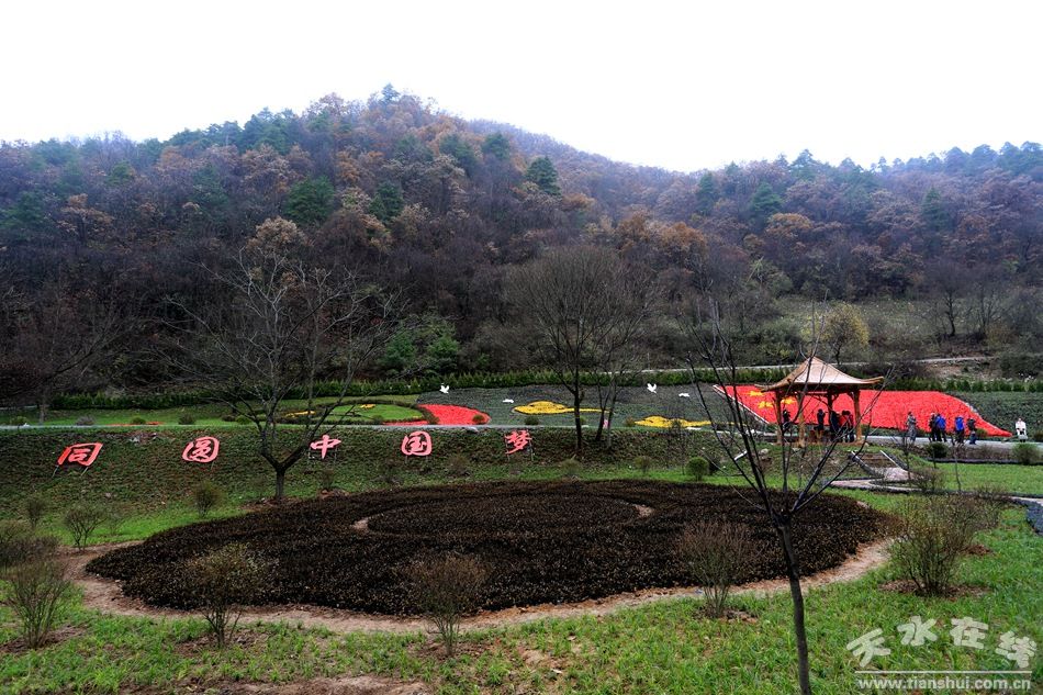 天水市国家级美丽乡村建设,天水市最美乡村名录图片