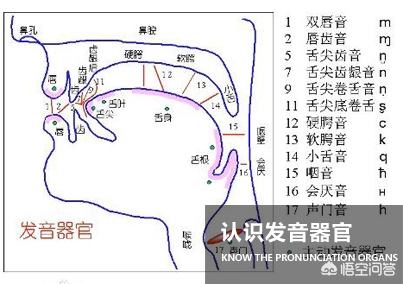 腹语术有什么危害,失语能够练习腹语吗