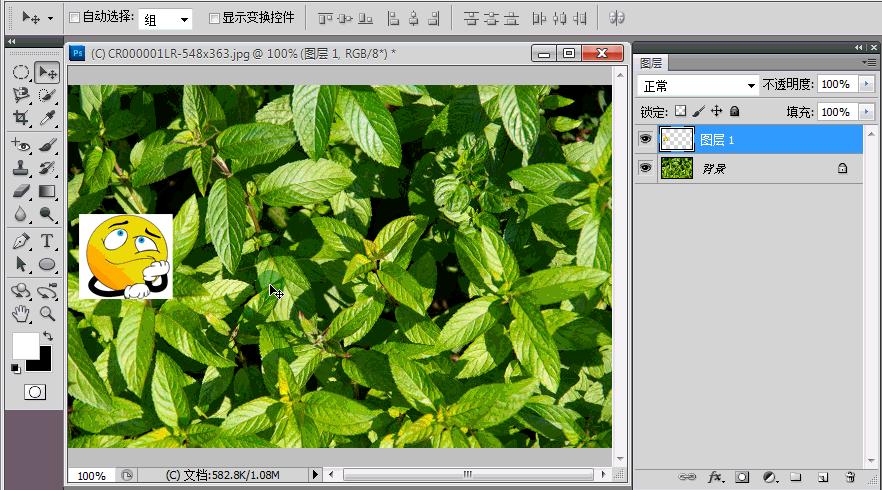在ps中如何复制选区内容进新图层,ps怎么把图层复制到另一张图里